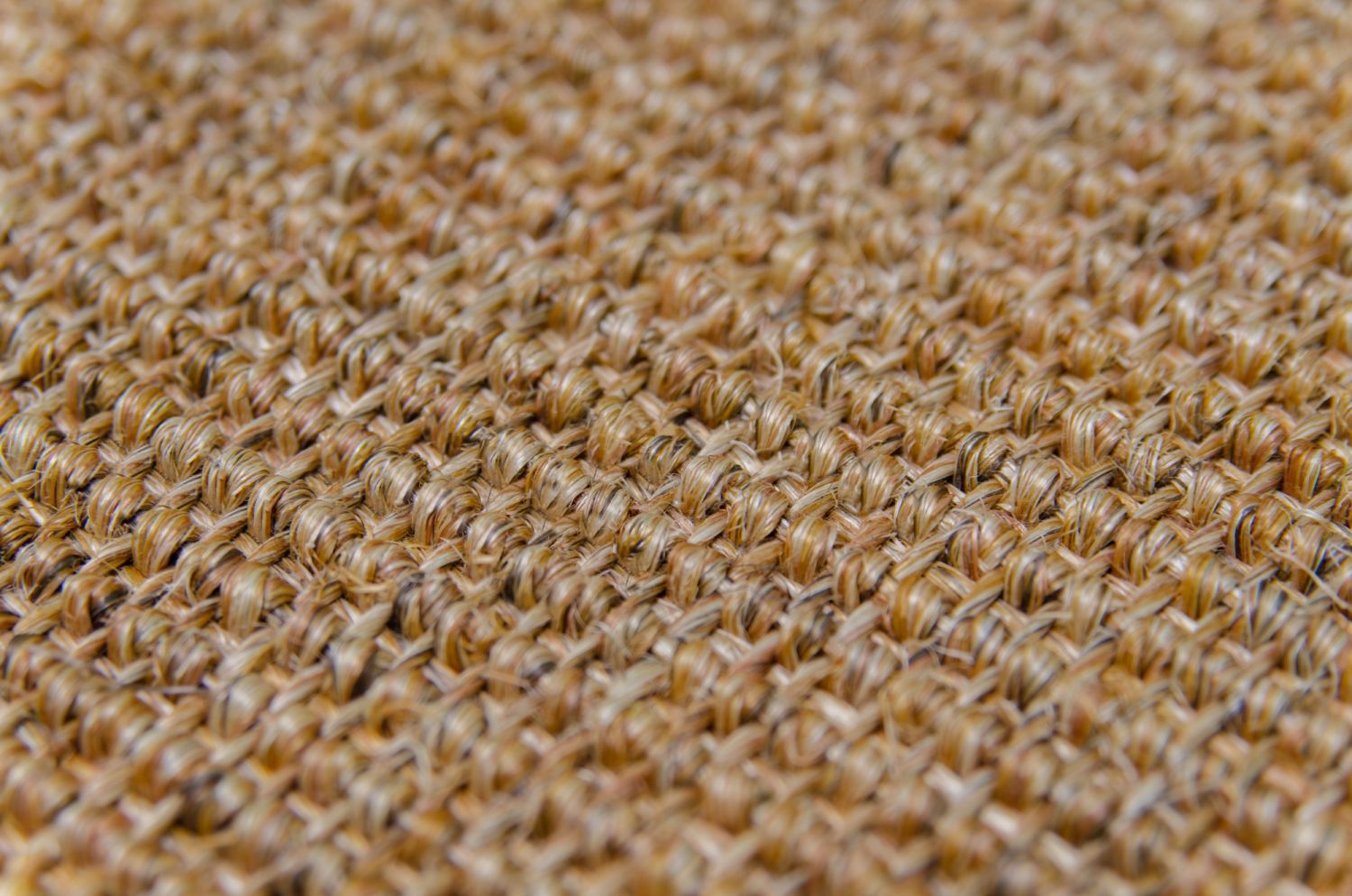 Teppich Sisal Mio nach Maß, champagner meliert