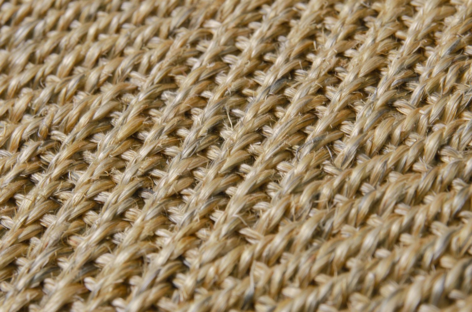 Carpet Sisal Mio made to measure, mixed beige